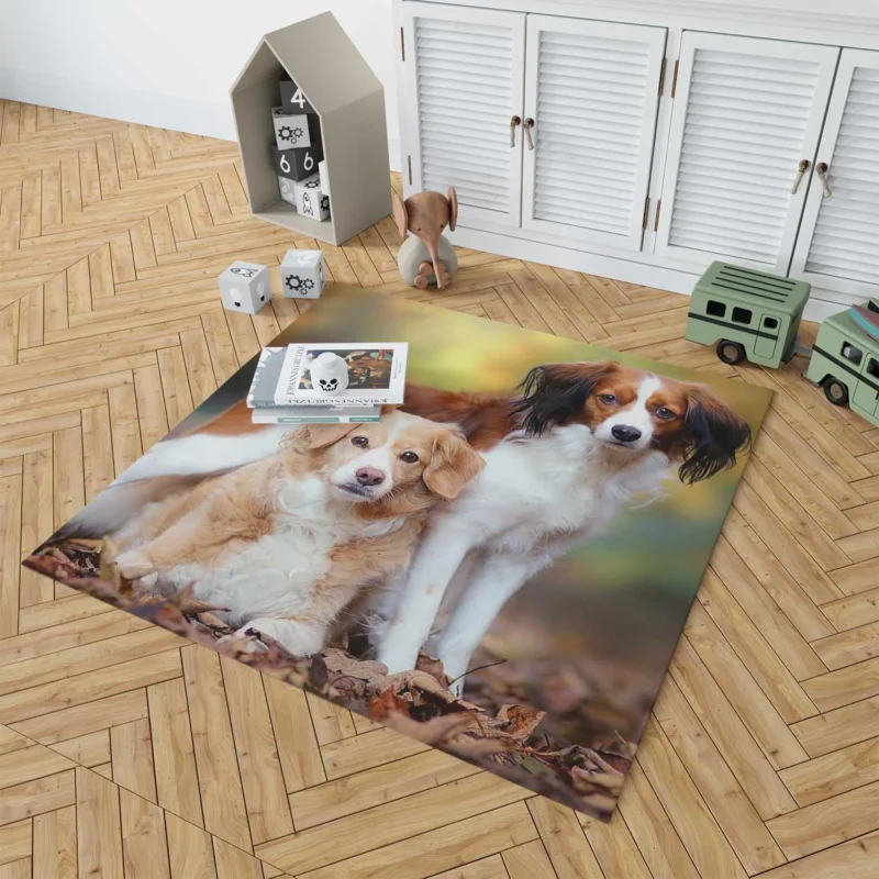 A Quartet of Dutch Beauties: Kooikerhondje Dogs Floor Rug 1