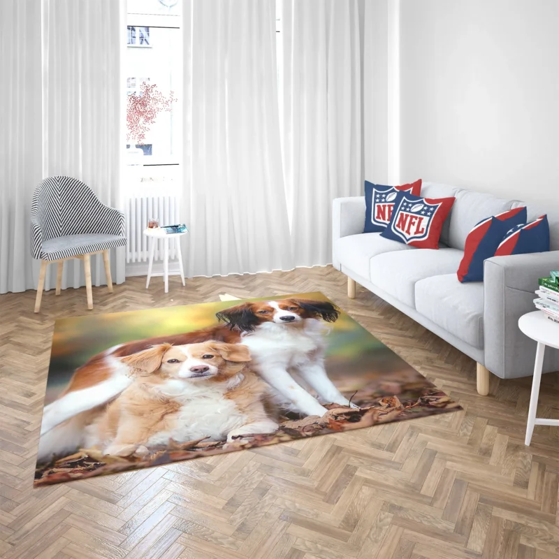 A Quartet of Dutch Beauties: Kooikerhondje Dogs Floor Rug 2