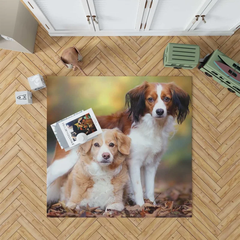 A Quartet of Dutch Beauties: Kooikerhondje Dogs Floor Rug