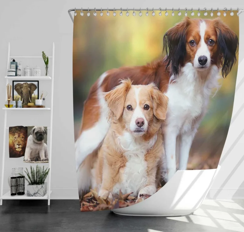 A Quartet of Dutch Beauties: Kooikerhondje Dogs Shower Curtain