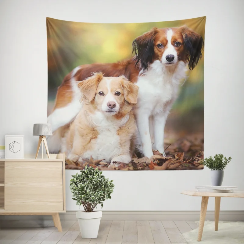 A Quartet of Dutch Beauties  Kooikerhondje Dogs Wall Tapestry