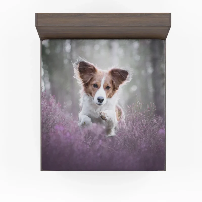 A Quartet of Dutch Elegance: Kooikerhondje Dogs Fitted Sheet