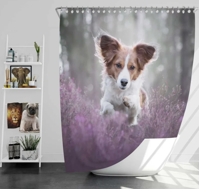 A Quartet of Dutch Elegance: Kooikerhondje Dogs Shower Curtain