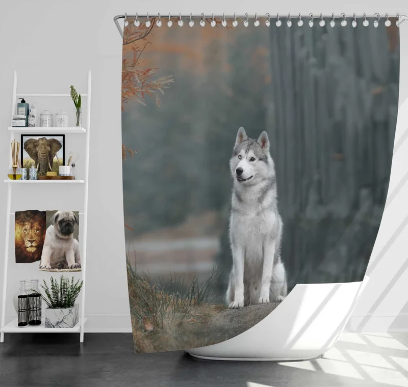 A Quartet of Elegance: Husky Depth of Field Shower Curtain