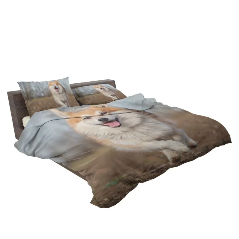 A Quartet of Icelandic Beauties: Icelandic Sheepdogs Bedding Set 2