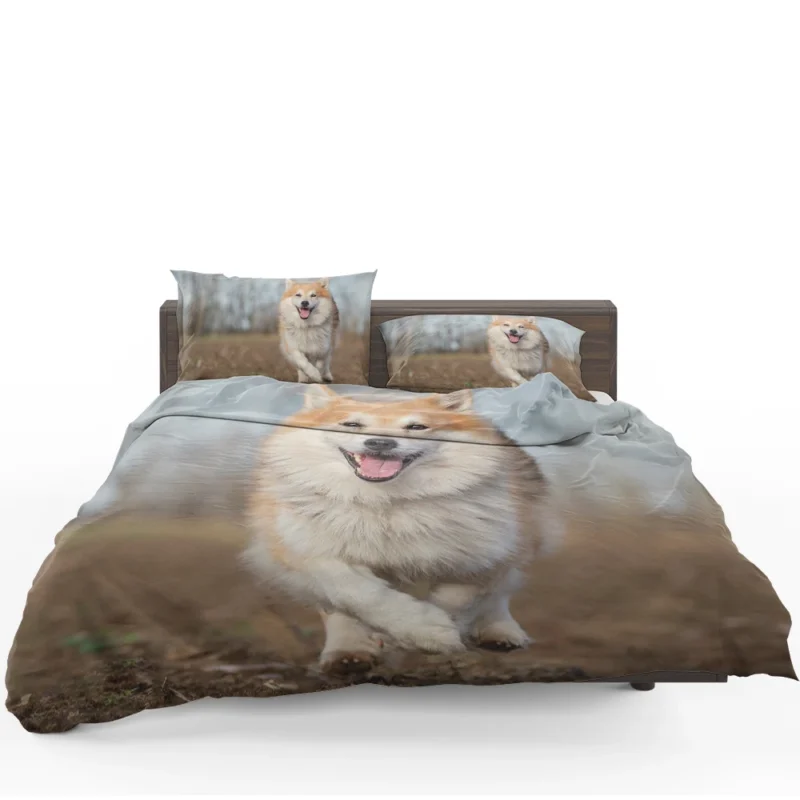 A Quartet of Icelandic Beauties: Icelandic Sheepdogs Bedding Set