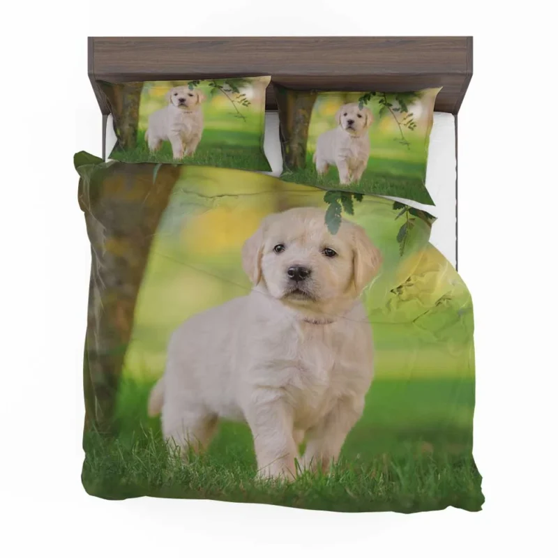 A Quartet of Playful Cuties: Labrador Puppies Bedding Set 1