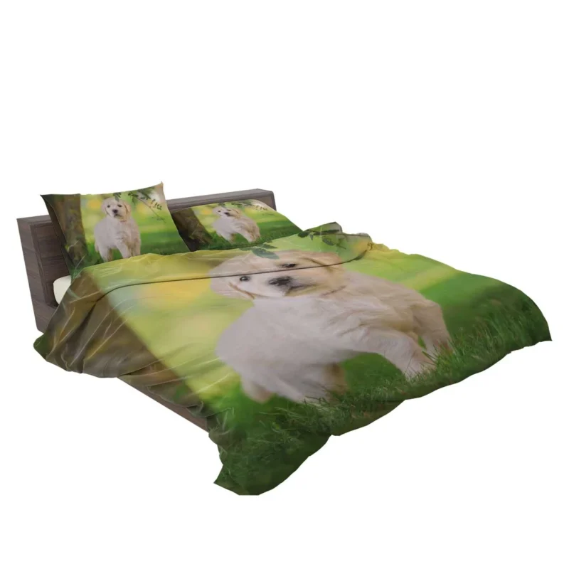 A Quartet of Playful Cuties: Labrador Puppies Bedding Set 2