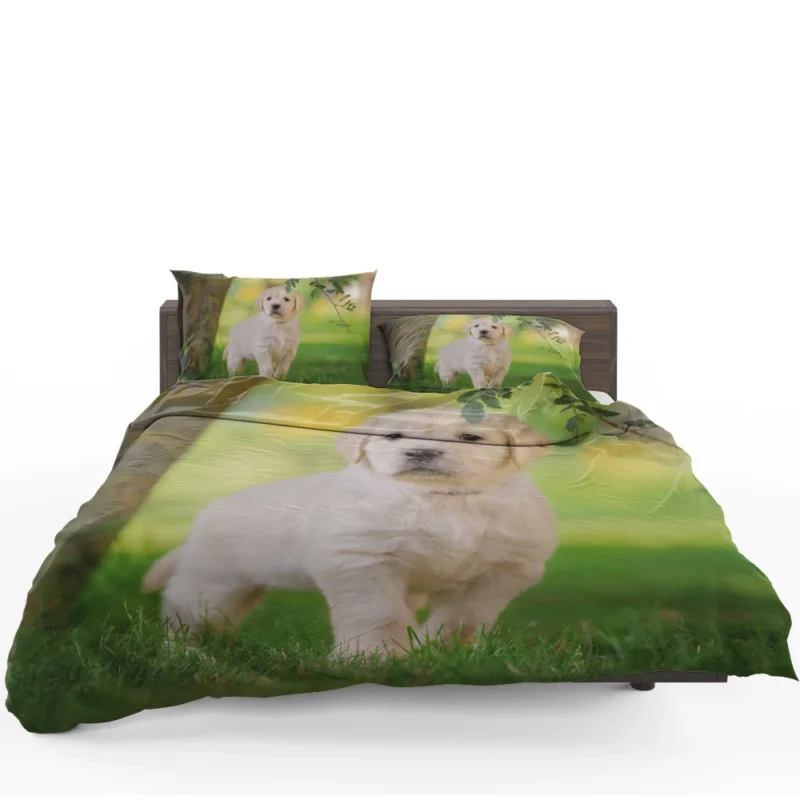 A Quartet of Playful Cuties: Labrador Puppies Bedding Set