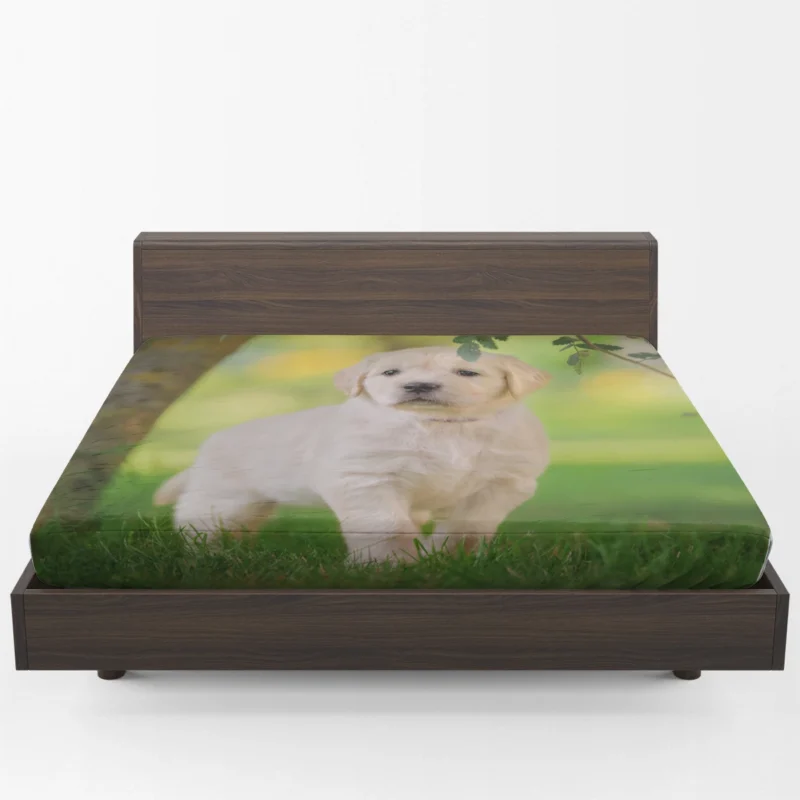 A-Quartet-of-Playful-Cuties-Labrador-Puppies-Fitted-Sheet-2