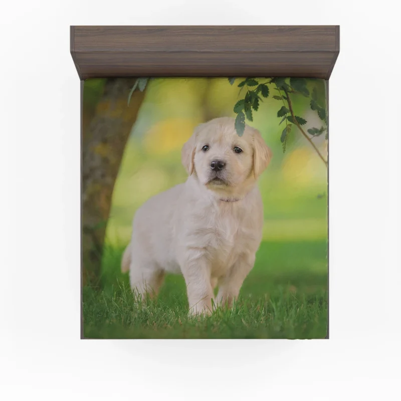 A Quartet of Playful Cuties: Labrador Puppies Fitted Sheet