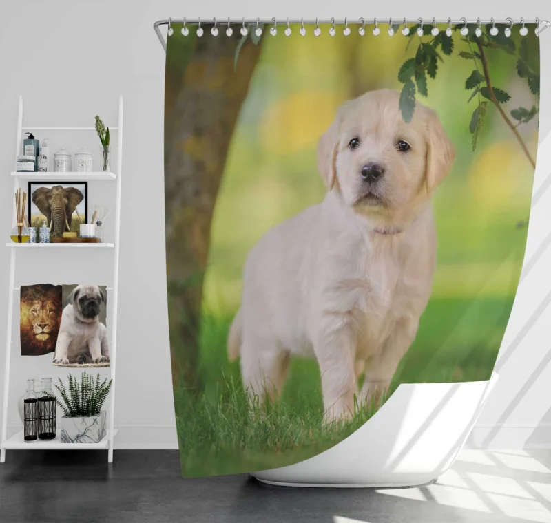 A Quartet of Playful Cuties: Labrador Puppies Shower Curtain