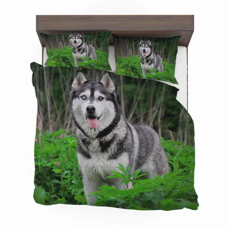 A Study in Elegance: Siberian Husky Quartet Bedding Set 1