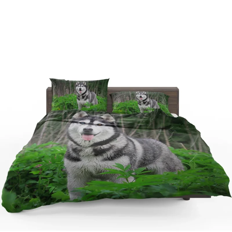 A Study in Elegance: Siberian Husky Quartet Bedding Set