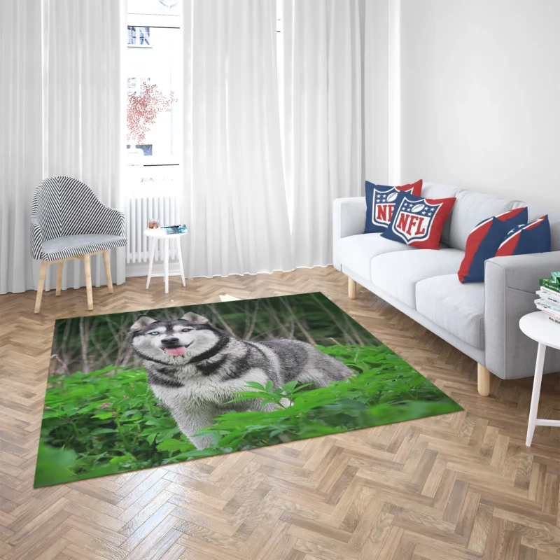 A Study in Elegance: Siberian Husky Quartet Floor Rug 2