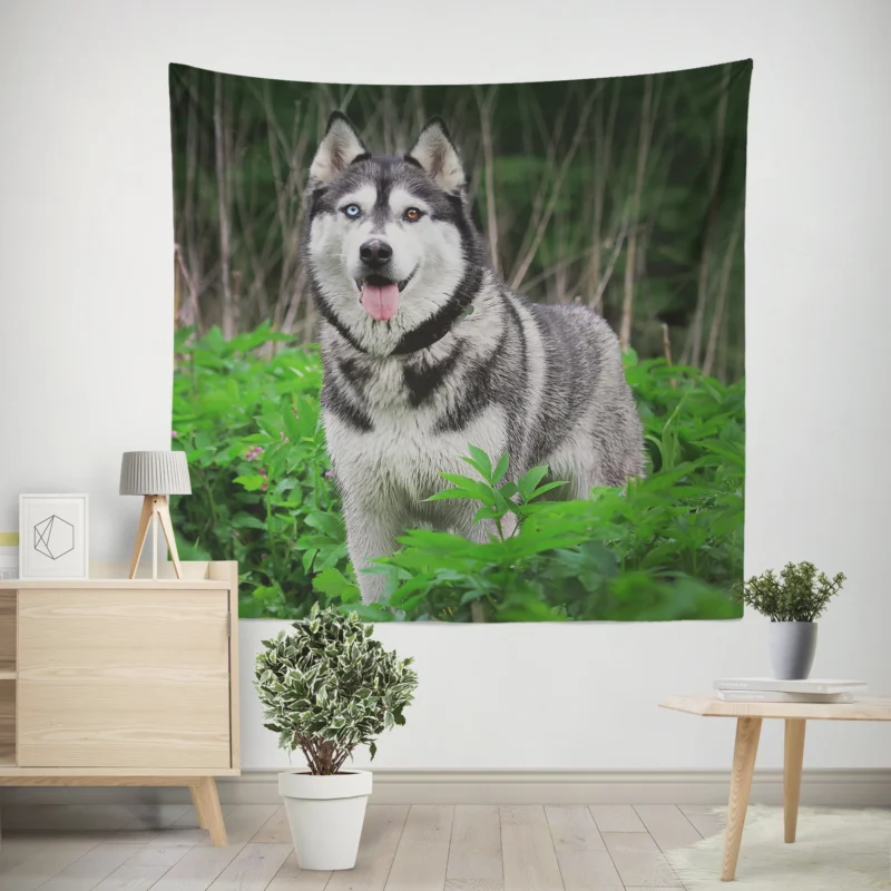 A Study in Elegance  Siberian Husky Quartet Wall Tapestry