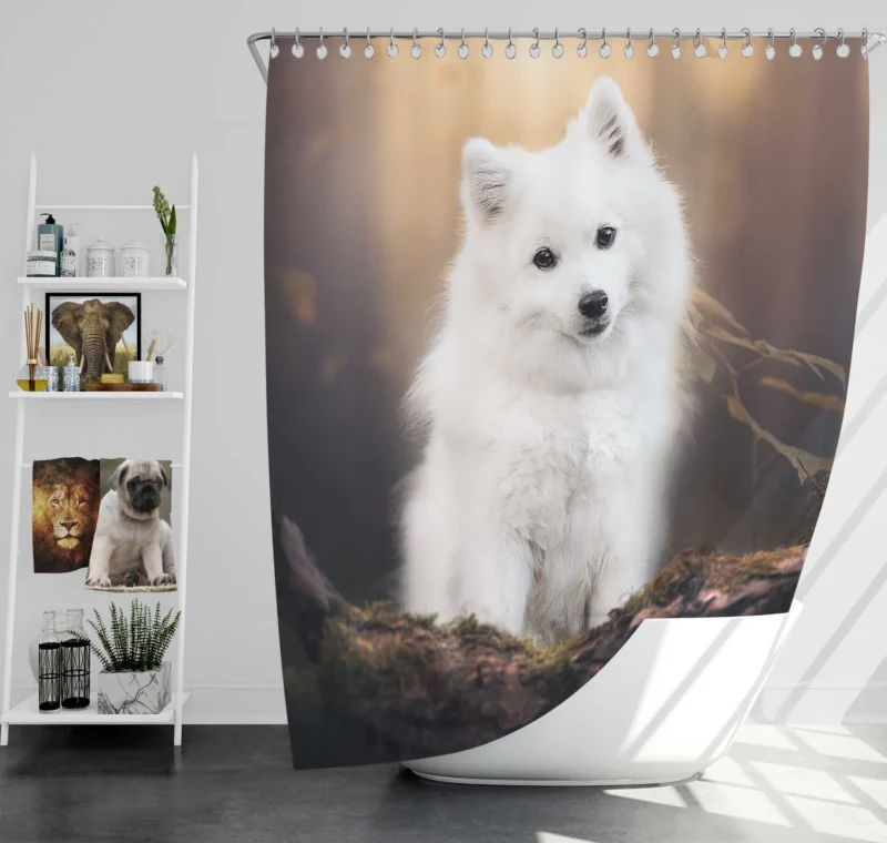 A Study in Radiance: Spitz Quartet Shower Curtain