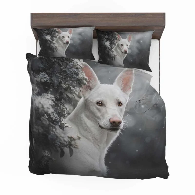 A Study in Radiance: White Shepherd Quartet Bedding Set 1