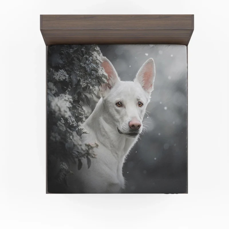 A Study in Radiance: White Shepherd Quartet Fitted Sheet