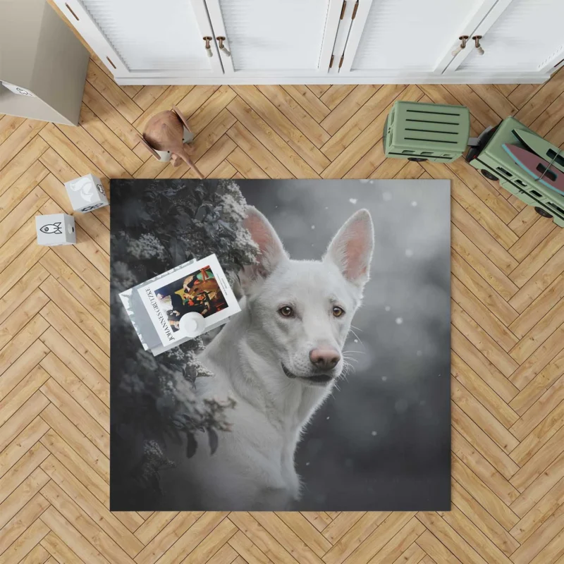 A Study in Radiance: White Shepherd Quartet Floor Rug