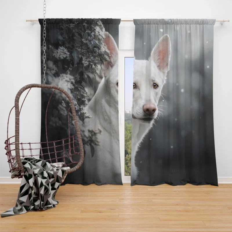 A Study in Radiance: White Shepherd Quartet Window Curtain