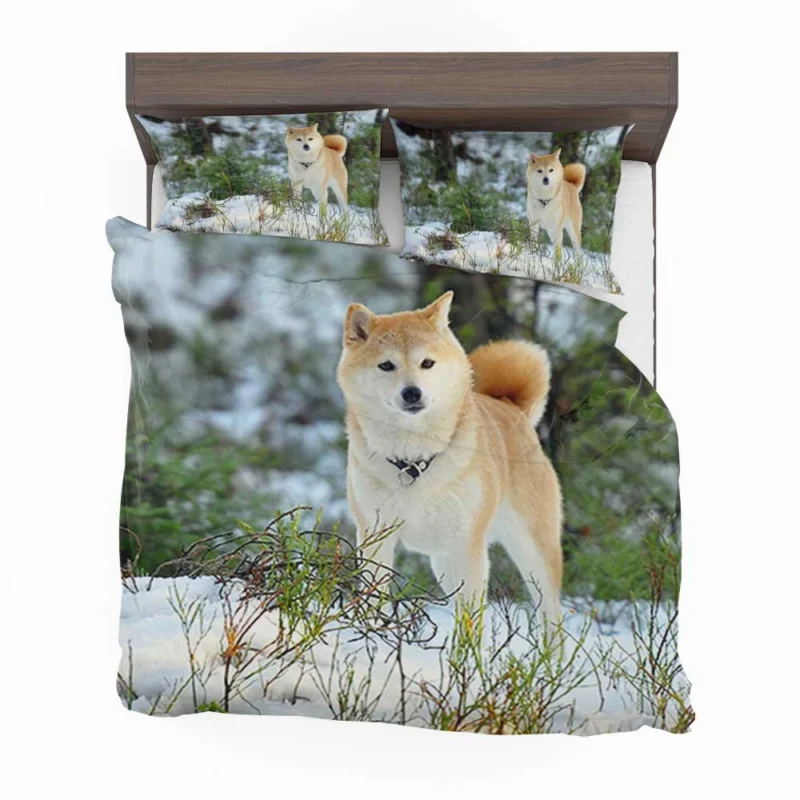 A Symphony of Akita Beauty: Quartet Harmony Bedding Set 1