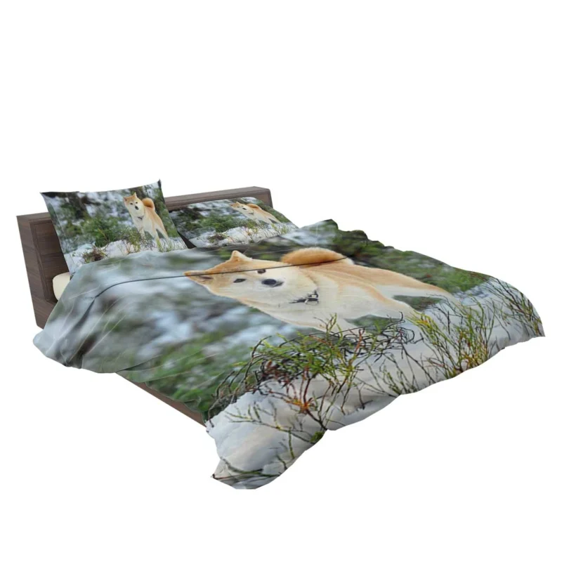 A Symphony of Akita Beauty: Quartet Harmony Bedding Set 2