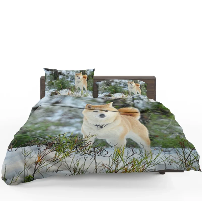 A Symphony of Akita Beauty: Quartet Harmony Bedding Set