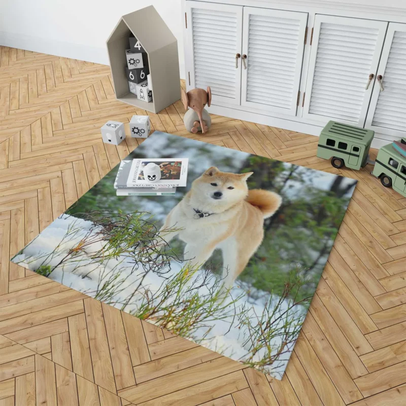 A Symphony of Akita Beauty: Quartet Harmony Floor Rug 1