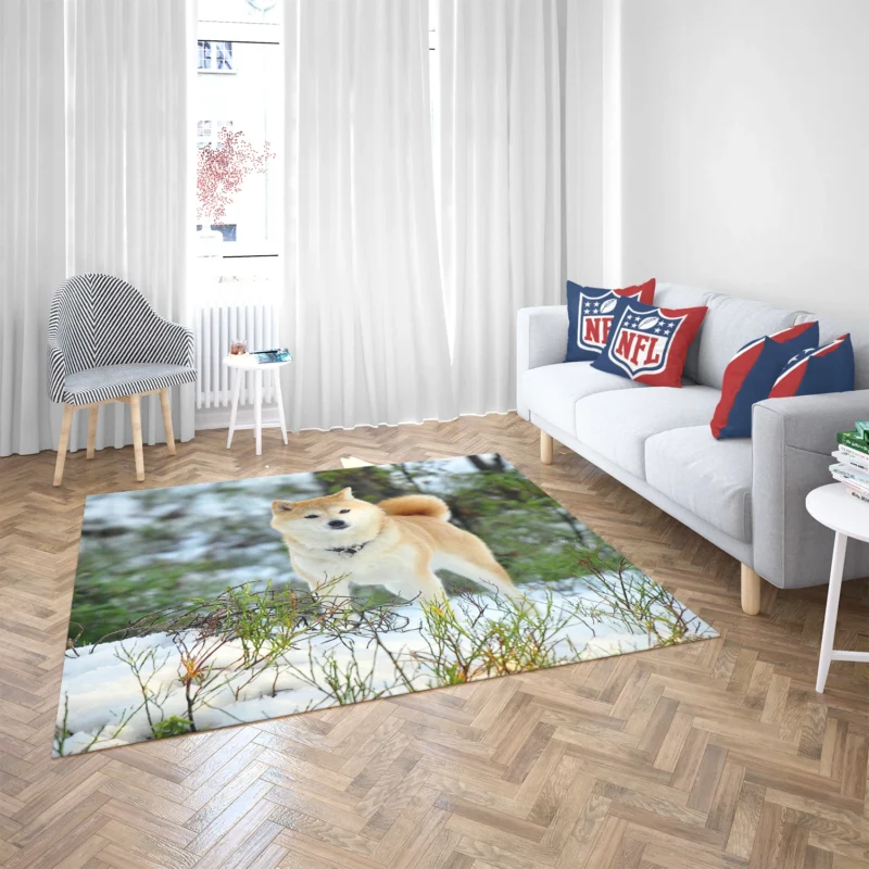 A Symphony of Akita Beauty: Quartet Harmony Floor Rug 2