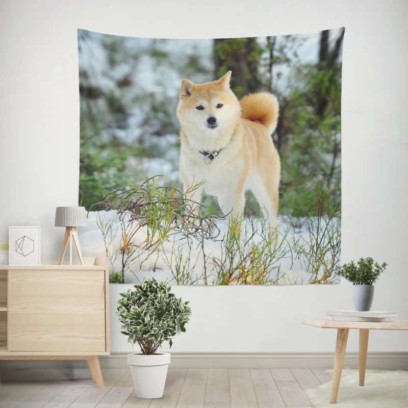 A Symphony of Akita Beauty  Quartet Harmony Wall Tapestry