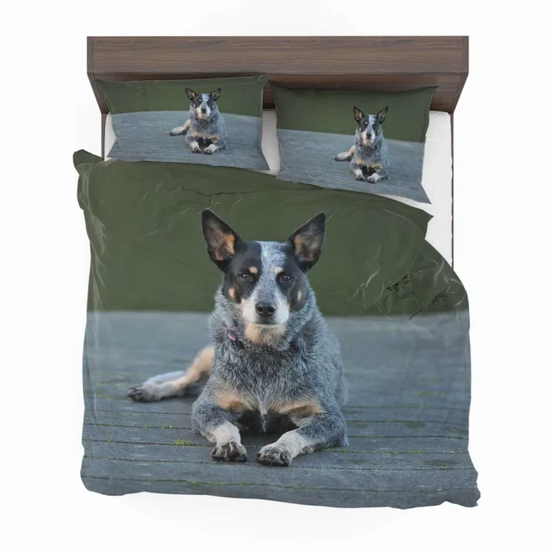 A Versatile Canine Companion: Australian Cattle Dog Bedding Set 1