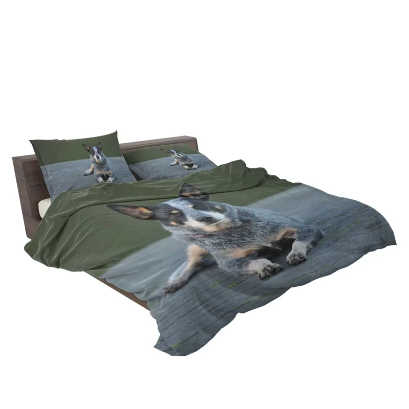 A Versatile Canine Companion: Australian Cattle Dog Bedding Set 2