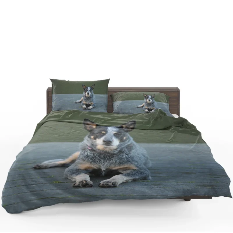 A Versatile Canine Companion: Australian Cattle Dog Bedding Set