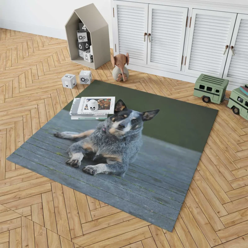 A Versatile Canine Companion: Australian Cattle Dog Floor Rug 1