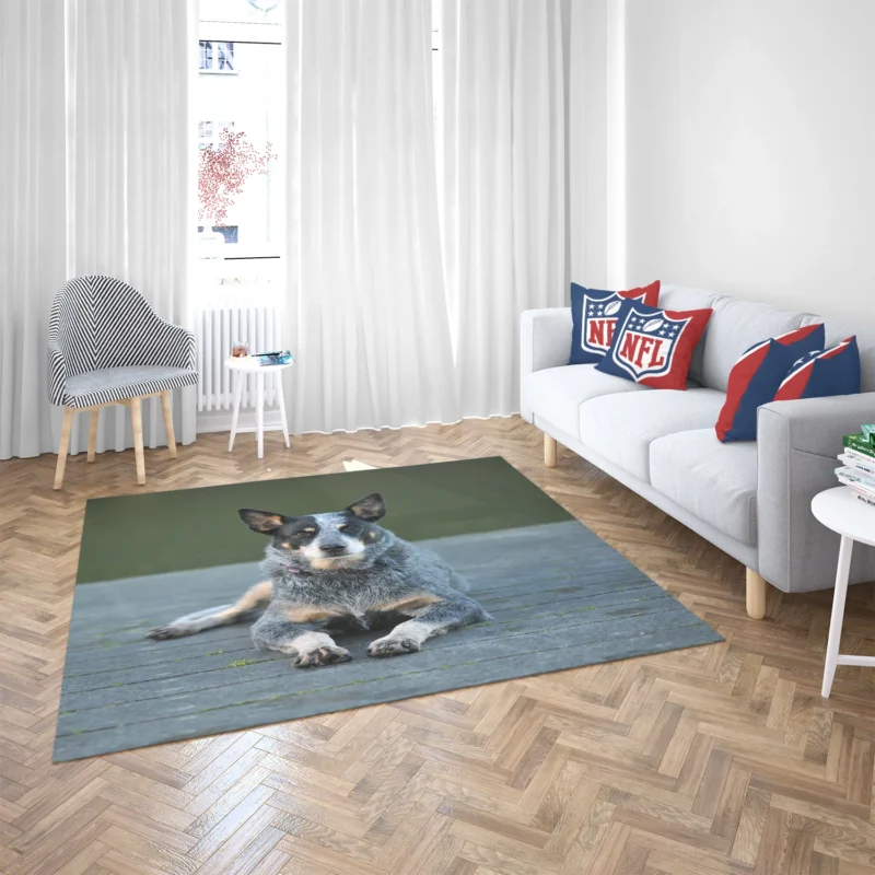 A Versatile Canine Companion: Australian Cattle Dog Floor Rug 2