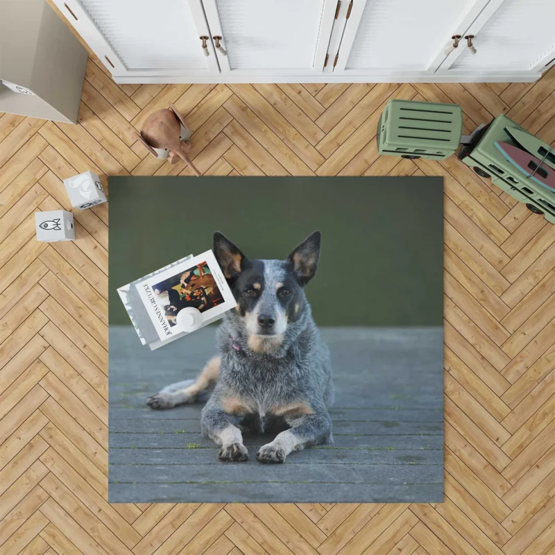 A Versatile Canine Companion: Australian Cattle Dog Floor Rug