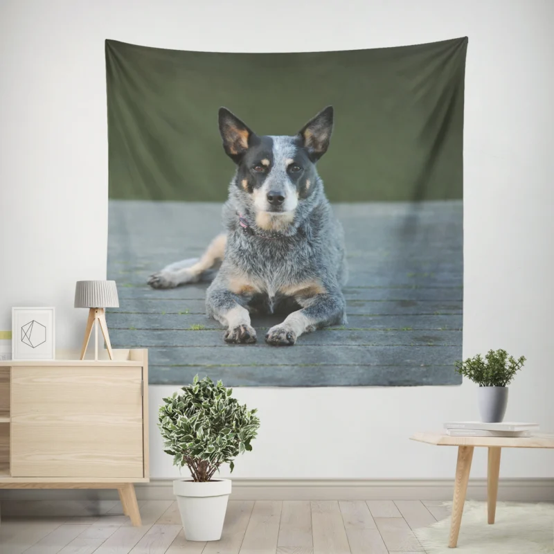 A Versatile Canine Companion  Australian Cattle Dog Wall Tapestry