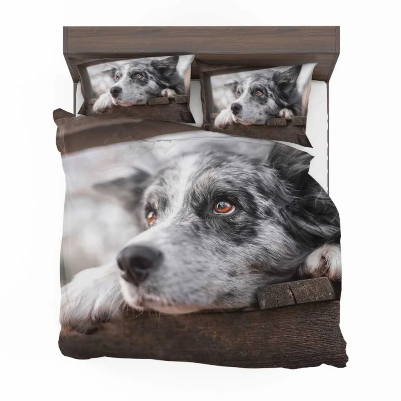 A Versatile Canine Companion: Australian Shepherd Bedding Set 1