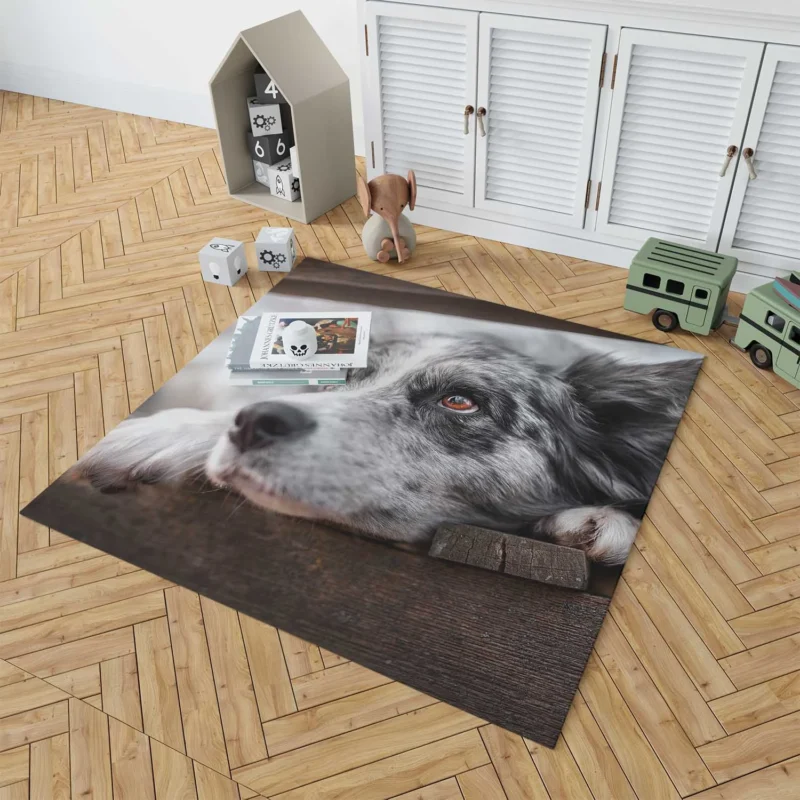 A Versatile Canine Companion: Australian Shepherd Floor Rug 1