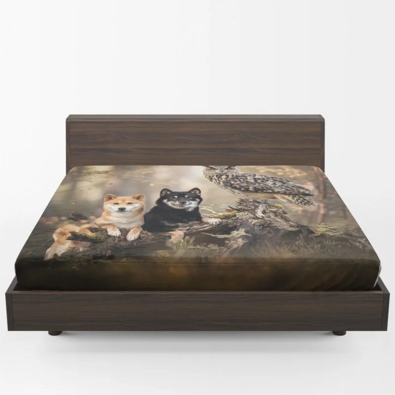 A Whimsical Encounter: Owl and Akita Quartet Fitted Sheet 1