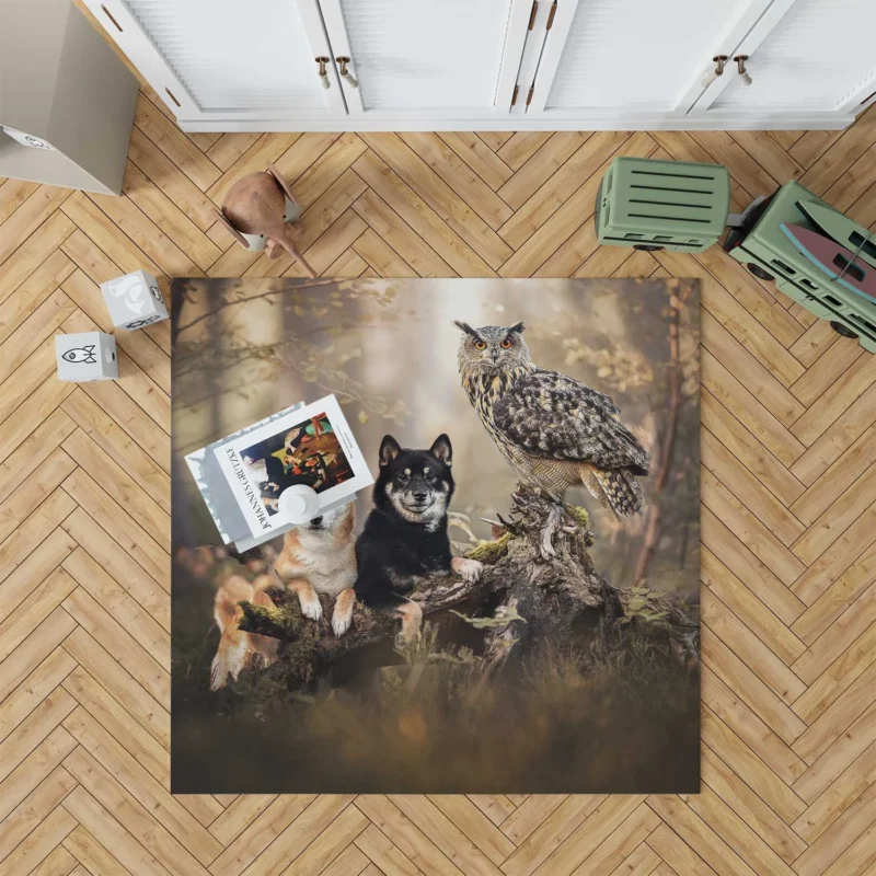 A Whimsical Encounter: Owl and Akita Quartet Floor Rug