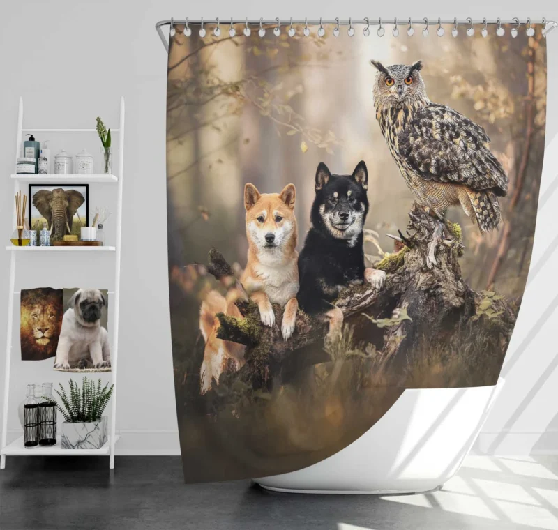 A Whimsical Encounter: Owl and Akita Quartet Shower Curtain