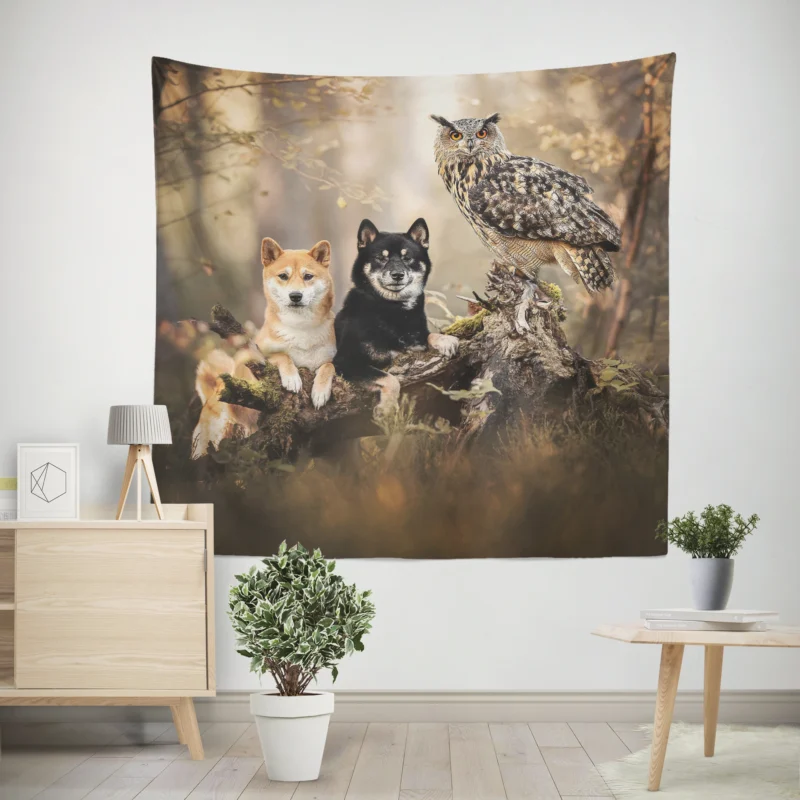 A Whimsical Encounter  Owl and Akita Quartet Wall Tapestry