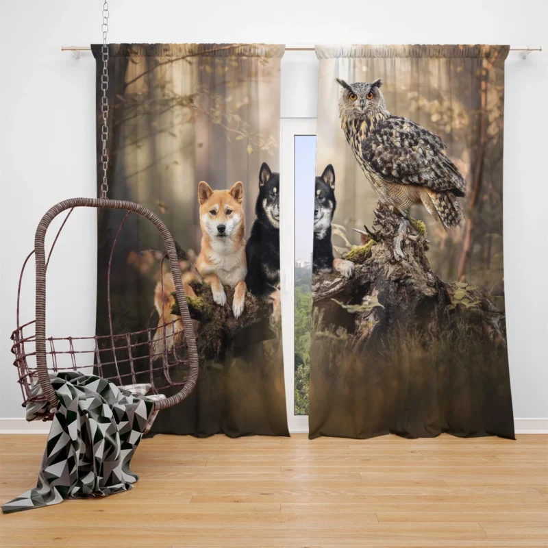 A Whimsical Encounter: Owl and Akita Quartet Window Curtain