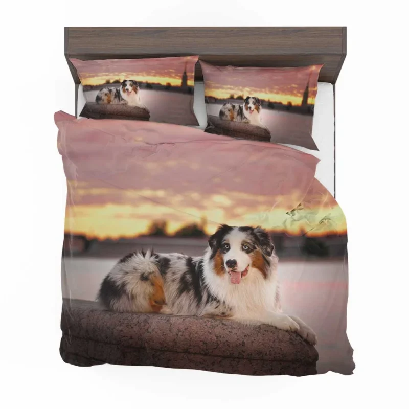 Active Depth of Field Beauty: Australian Shepherd Bedding Set 1