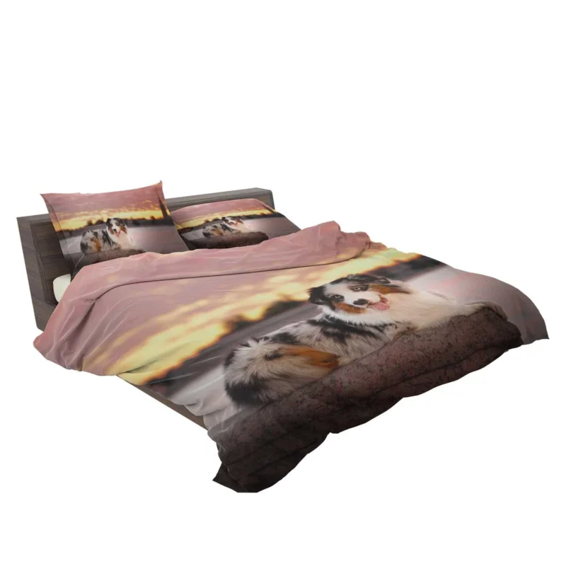 Active Depth of Field Beauty: Australian Shepherd Bedding Set 2