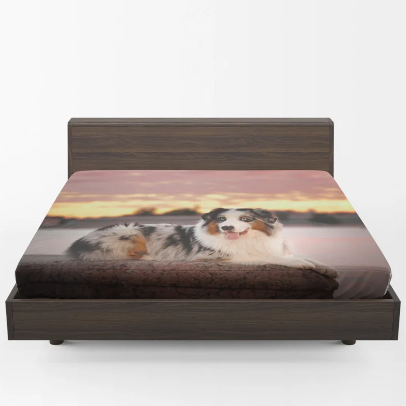 Active Depth of Field Beauty: Australian Shepherd Fitted Sheet 1