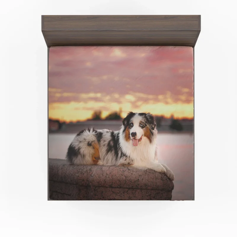 Active Depth of Field Beauty: Australian Shepherd Fitted Sheet