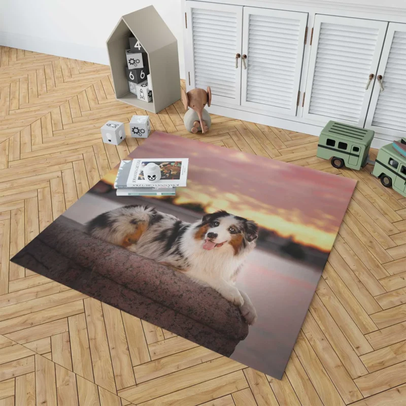 Active Depth of Field Beauty: Australian Shepherd Floor Rug 1